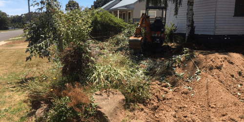 Tree Removal in Victoria