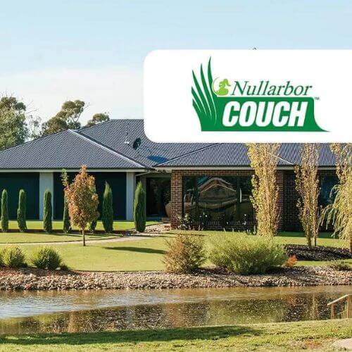 Turf - Nullarbor Couch